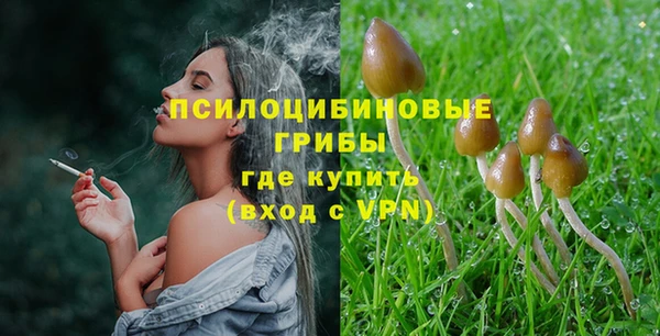меф Нефтегорск